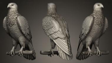 3D model hawk (STL)